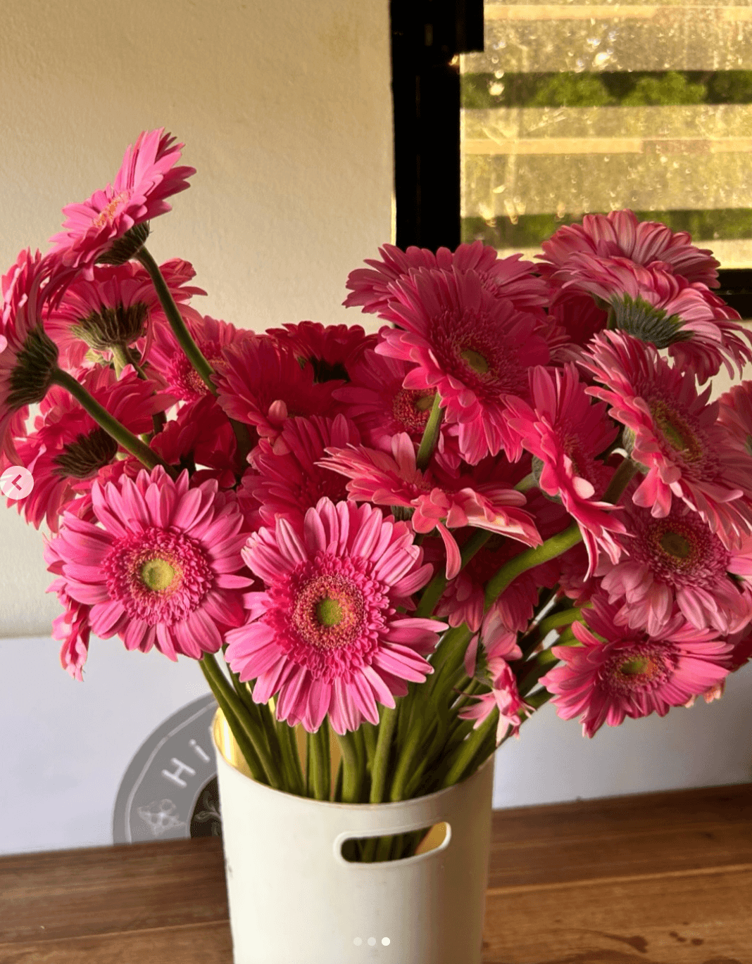 Gerberas in a vase